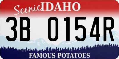 ID license plate 3B0154R