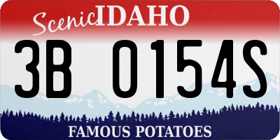 ID license plate 3B0154S