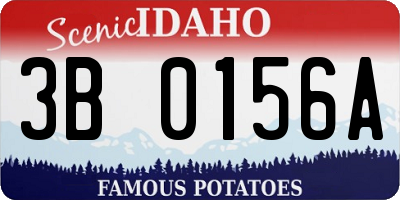 ID license plate 3B0156A