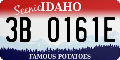 ID license plate 3B0161E