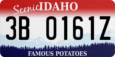 ID license plate 3B0161Z