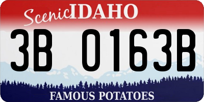 ID license plate 3B0163B