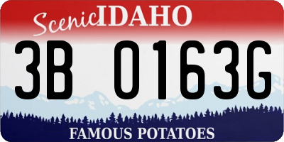 ID license plate 3B0163G