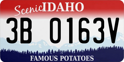 ID license plate 3B0163V
