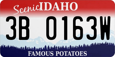 ID license plate 3B0163W