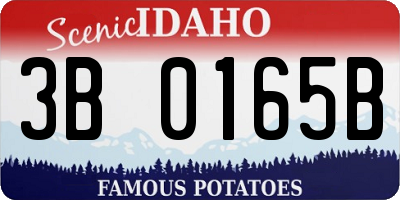ID license plate 3B0165B