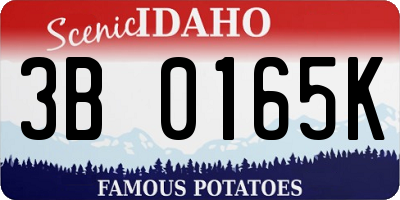 ID license plate 3B0165K