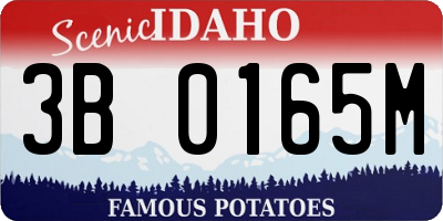 ID license plate 3B0165M