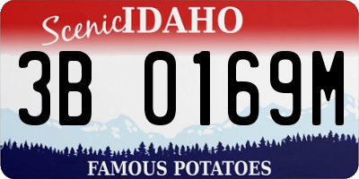 ID license plate 3B0169M
