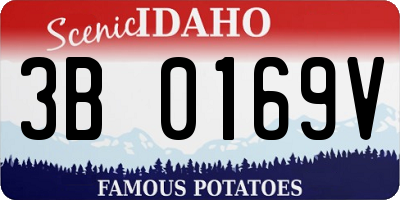 ID license plate 3B0169V