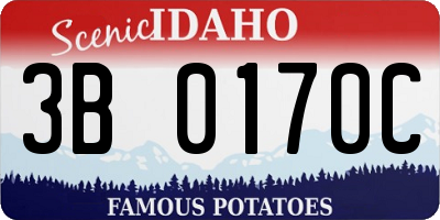 ID license plate 3B0170C