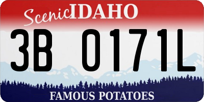 ID license plate 3B0171L
