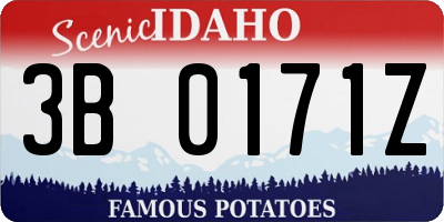 ID license plate 3B0171Z