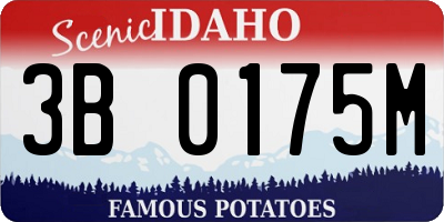 ID license plate 3B0175M