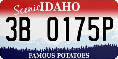 ID license plate 3B0175P