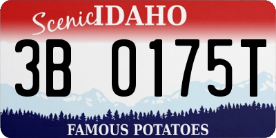 ID license plate 3B0175T