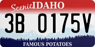 ID license plate 3B0175V