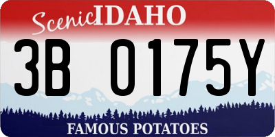 ID license plate 3B0175Y