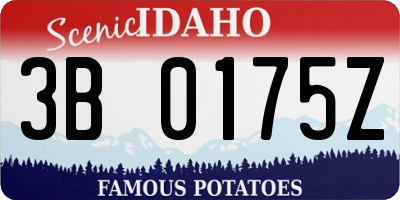 ID license plate 3B0175Z