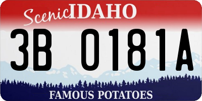 ID license plate 3B0181A