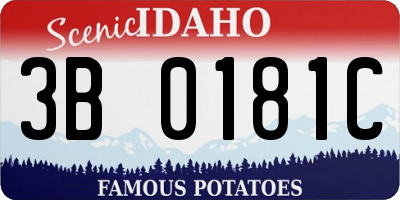 ID license plate 3B0181C