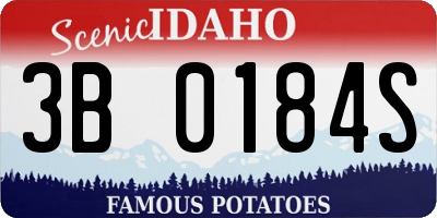 ID license plate 3B0184S