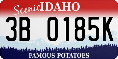 ID license plate 3B0185K