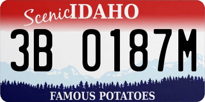 ID license plate 3B0187M