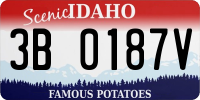 ID license plate 3B0187V