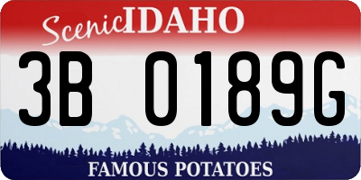 ID license plate 3B0189G