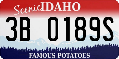 ID license plate 3B0189S
