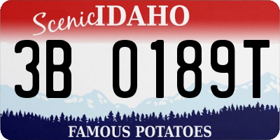 ID license plate 3B0189T