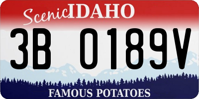 ID license plate 3B0189V