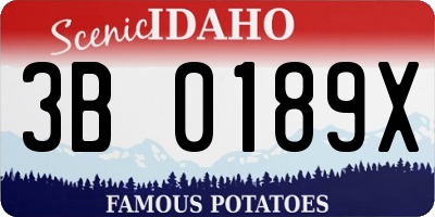 ID license plate 3B0189X