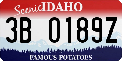 ID license plate 3B0189Z