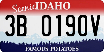 ID license plate 3B0190V