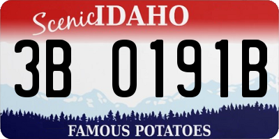 ID license plate 3B0191B