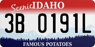 ID license plate 3B0191L