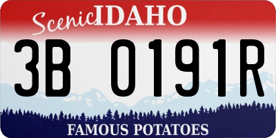 ID license plate 3B0191R