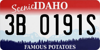 ID license plate 3B0191S