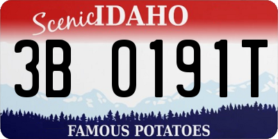 ID license plate 3B0191T