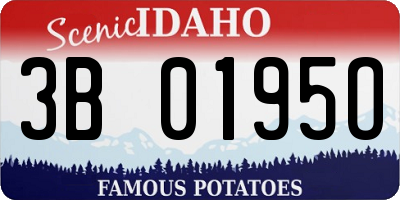 ID license plate 3B0195O