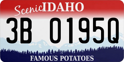ID license plate 3B0195Q
