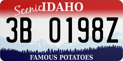 ID license plate 3B0198Z