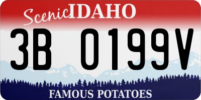 ID license plate 3B0199V