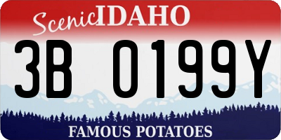 ID license plate 3B0199Y