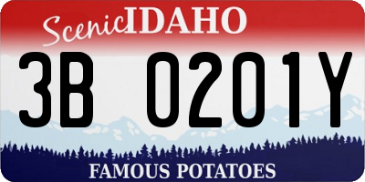 ID license plate 3B0201Y