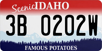 ID license plate 3B0202W
