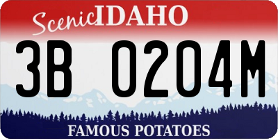 ID license plate 3B0204M