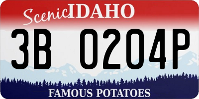 ID license plate 3B0204P